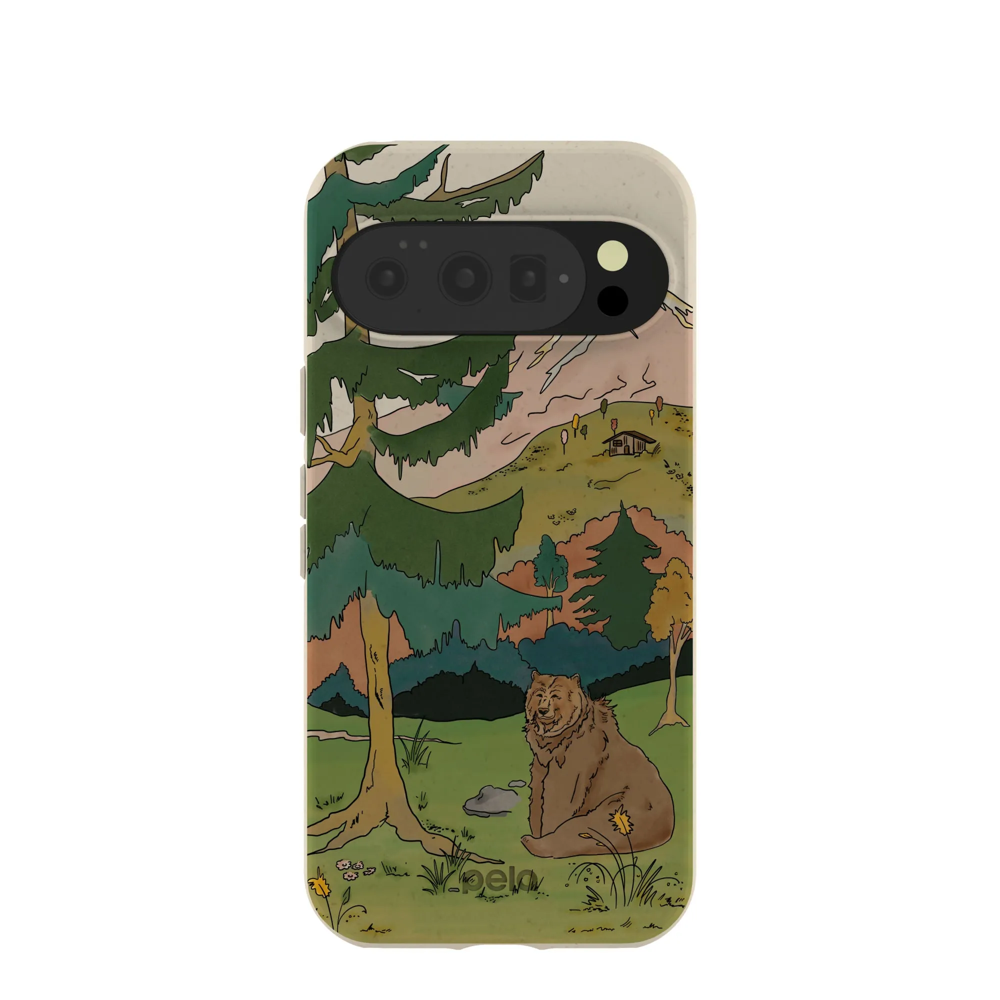 Anti Shock London Fog Rocky Bear Google Pixel 10/10 Pro Case